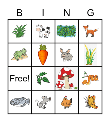 Food Chain Bingo Card