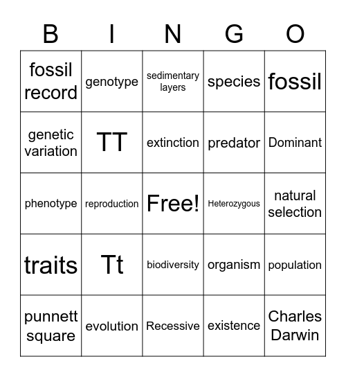 Evolution BINGO Card