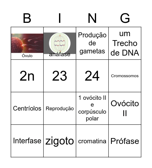 BINGO DIVISÃO CELULAR Bingo Card