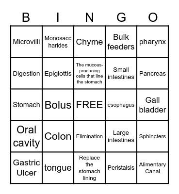 Digestive System Bingo Card