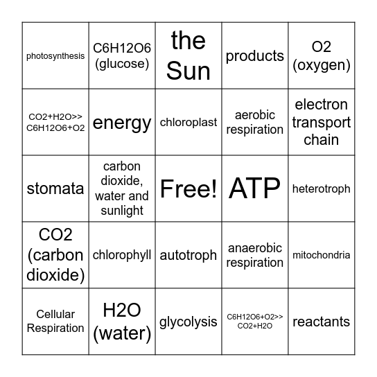 Photosynthesis and Cell Respiration Bingo Card