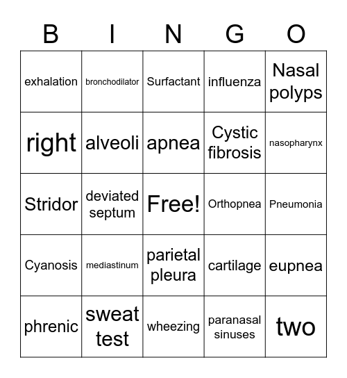 Respiratory System Bingo Card