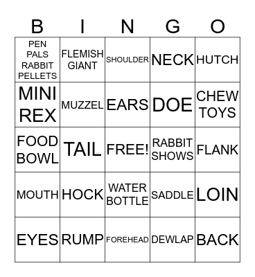 4H HOP TO IT BINGO Card