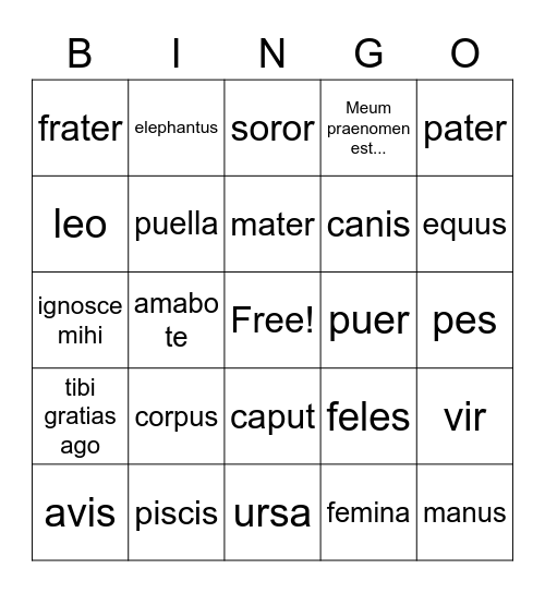 Latin Chapters 19, 15, 12, 5, 2 Bingo Card