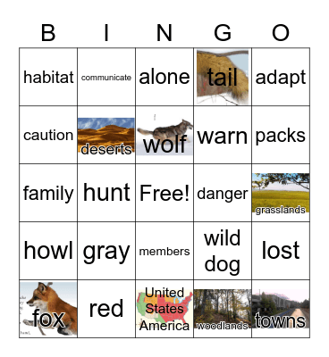 G3 U4 W3: GRAY WOLF! RED FOX! Bingo Card