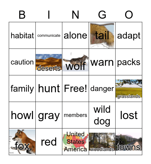 G3 U4 W3: GRAY WOLF! RED FOX! Bingo Card