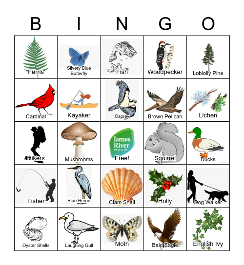 Mariner's Museum Bingo Card