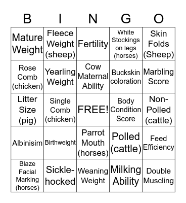 Animal Trait  Bingo Card