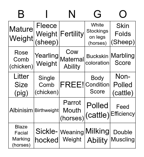 Animal Trait  Bingo Card