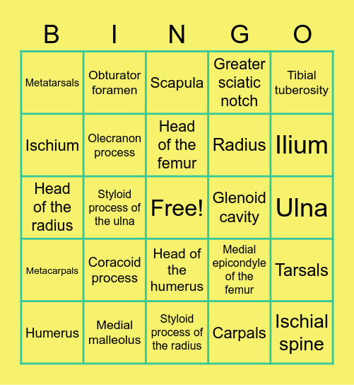 Apendicular Skelton Bingo! Bingo Card