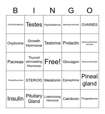 ENDOCRINE SYSTEM Bingo Card