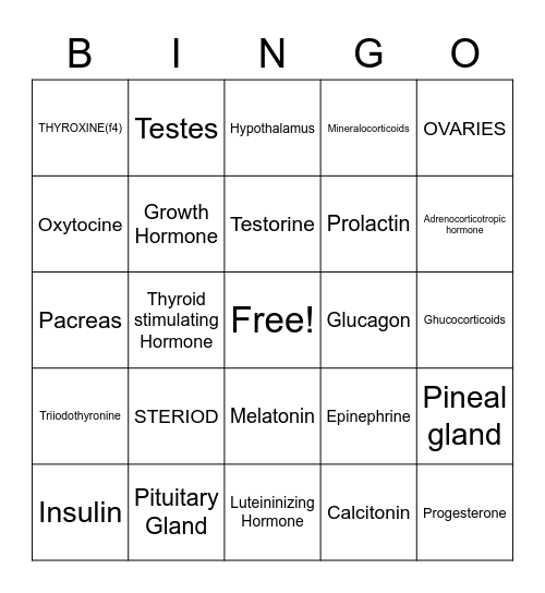 ENDOCRINE SYSTEM Bingo Card