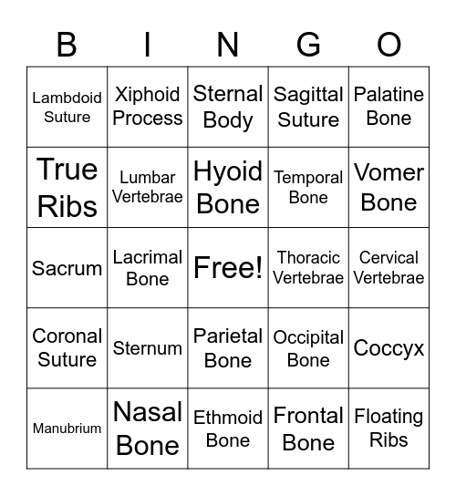 AXIAL SKELETON Bingo Card