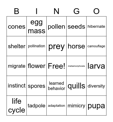 Plants and Animals Bingo Card