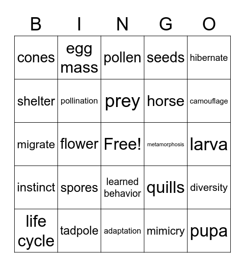 Plants and Animals Bingo Card