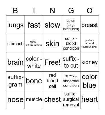 Medical terminology 1 Bingo Card