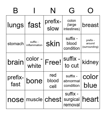 Medical terminology 1 Bingo Card