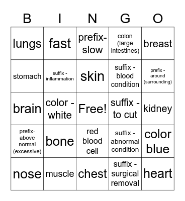 Medical terminology 1 Bingo Card