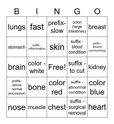 Medical terminology 1 Bingo Card