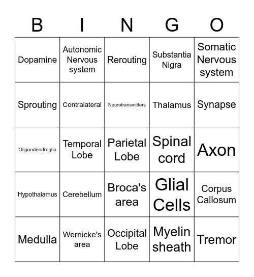 Unit 1 AOS1 Psychology Bingo Card