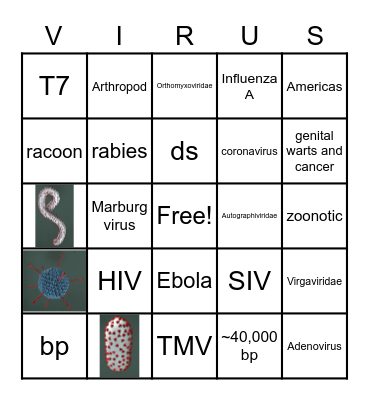 Viral Bingo Card