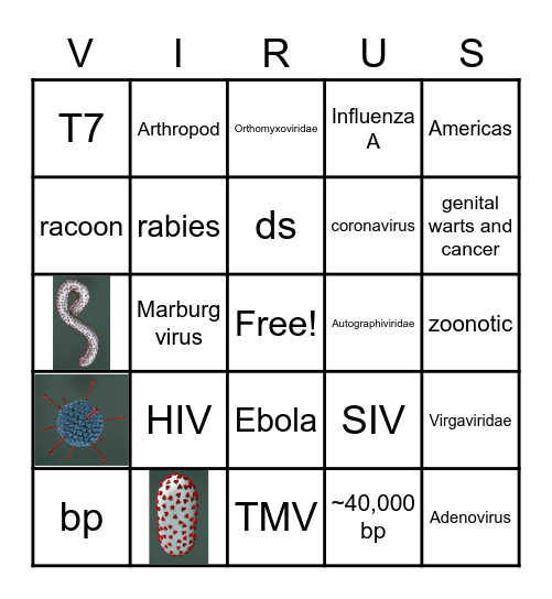 Viral Bingo Card