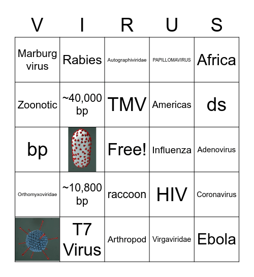 Viral Bingo Card