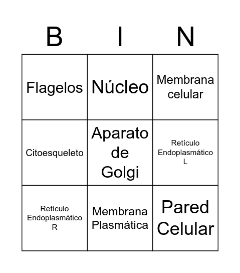 Organelas Bingo Card