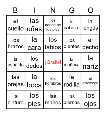 Las Partes del Cuerpo Bingo Card