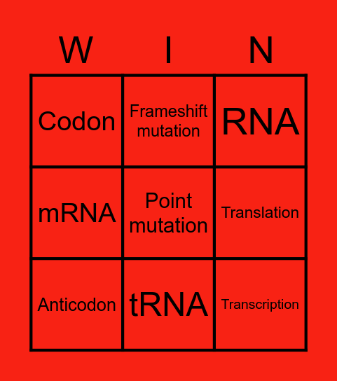 Protein Synthesis Vocab Bingo Card