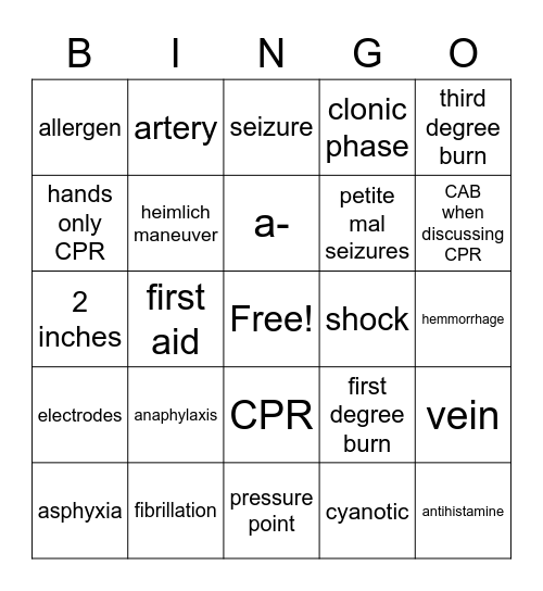 HST Theory Chapter 12 First Aid Bingo Card