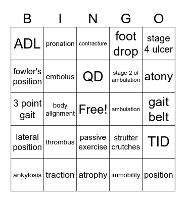 HST Theory Chapter 13 Assisting/Mobility Bingo Card