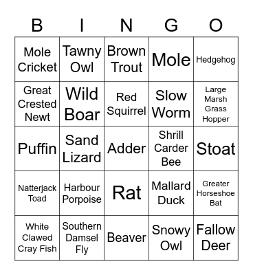 Wildlife Bingo Card