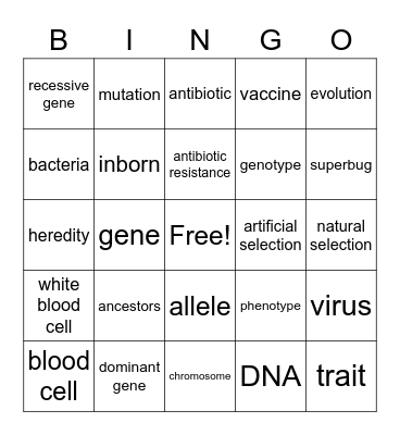 science bingo Card