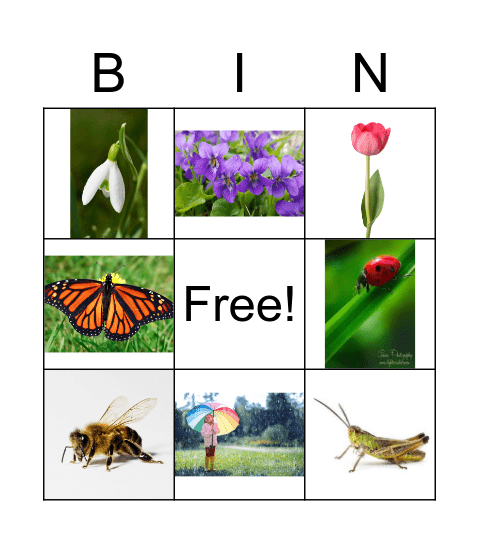 SPRING Bingo Card