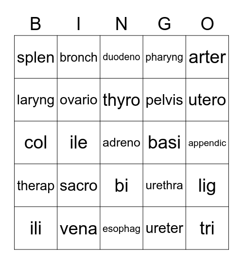 Med Terms List 12 Bingo Card