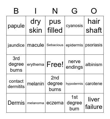 Integumentary System Bingo Card