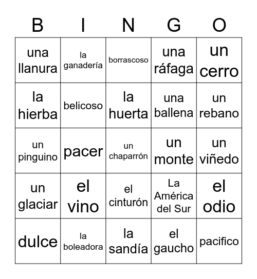 Lotería del Vocabulario del Cono Sur Bingo Card