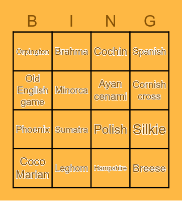 Chicken Bingo! Bingo Card