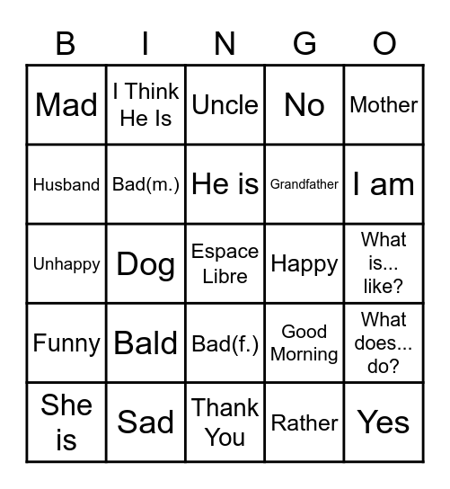 fran-ais-bingo-card