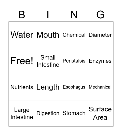 Digestive System Review Bingo Card
