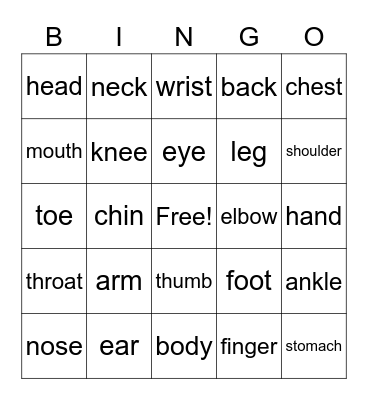 List of Body Parts Bingo Card