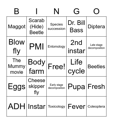 Forensic entomology  Bingo Card