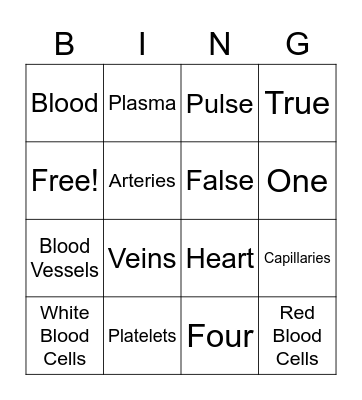 Circulatory System Review Bingo Card