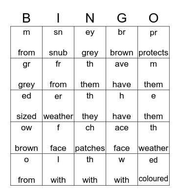 Koalas Chunk Bingo Card