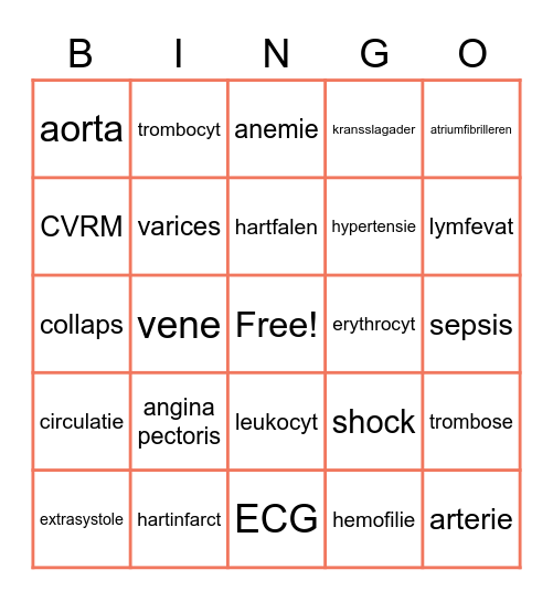 Hart en bloedvaten Bingo Card