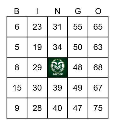 ⚽️  Sylvania Soccer Bingo  ⚽️ Bingo Card