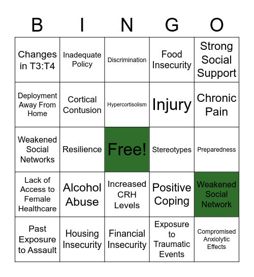 Life of a Veteran Bingo Card