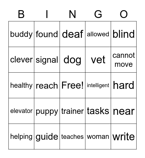 G1 U4 W5 FROM PUPPY TO GUIDE DOG Bingo Card