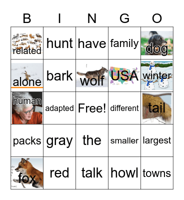 G3 U4 W3 GRAY WOLF, RED FOX Bingo Card